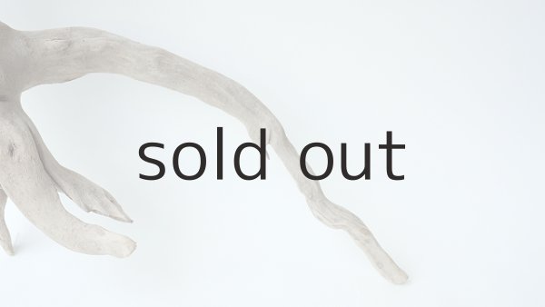 画像3: 流木根 (3)