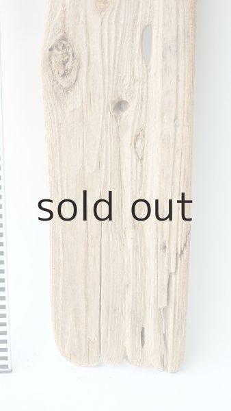 画像5: 板流木 (5)