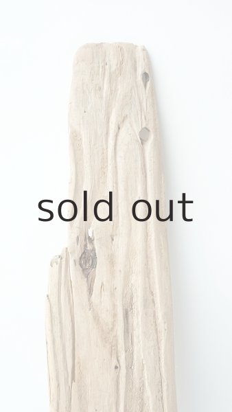 画像3: 板流木 (3)