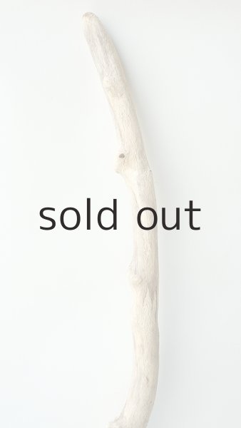 画像4: 枝流木 (4)