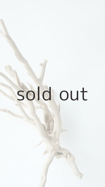 画像4: 流木根 (4)