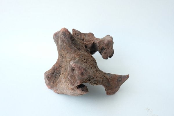 画像2: 変形流木 (2)