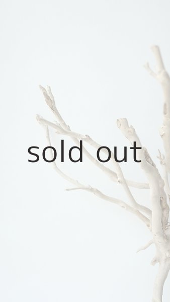 画像3: 流木根 (3)