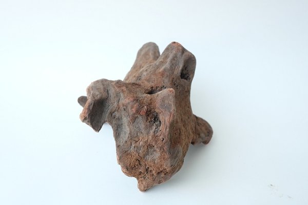 画像3: 変形流木 (3)