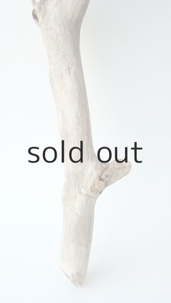 画像2: 枝流木 (2)