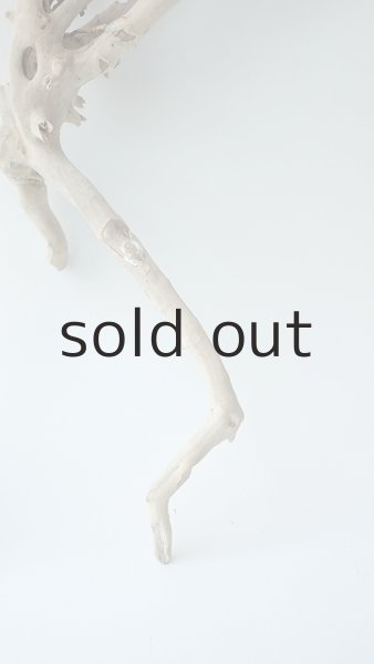 画像5: 流木根 (5)