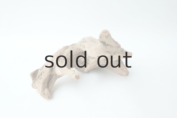 画像7: 流木根 (7)