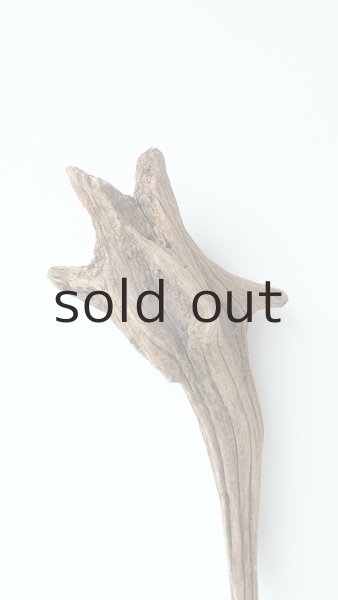 画像3: 変形流木 (3)