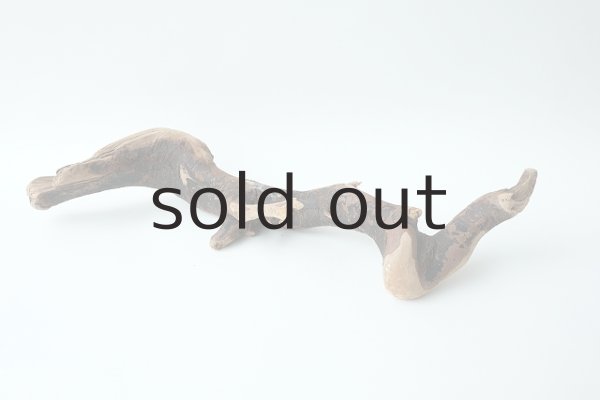 画像6: 流木根 (6)