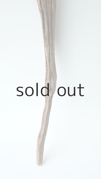 画像2: 変形流木 (2)