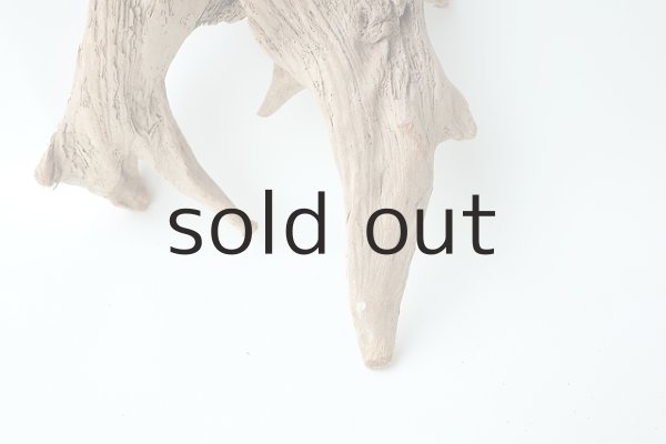 画像2: 流木根 (2)