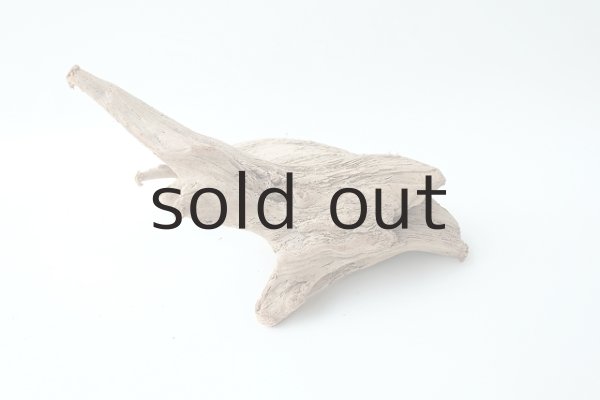 画像6: 流木根 (6)