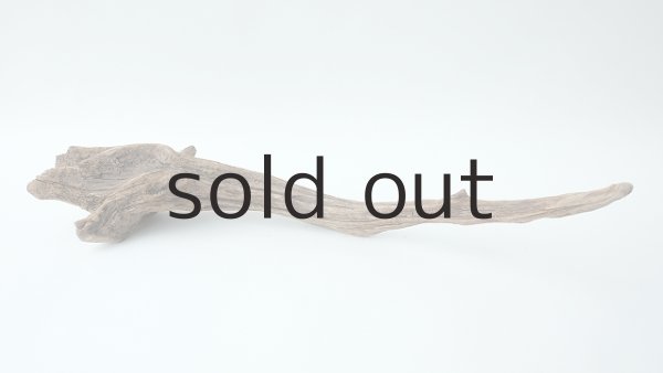 画像5: 変形流木 (5)