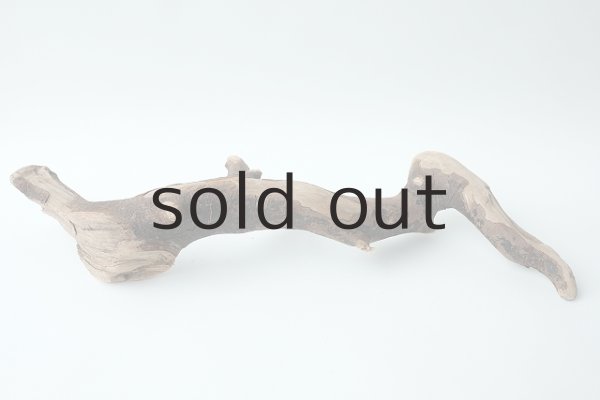 画像5: 流木根 (5)