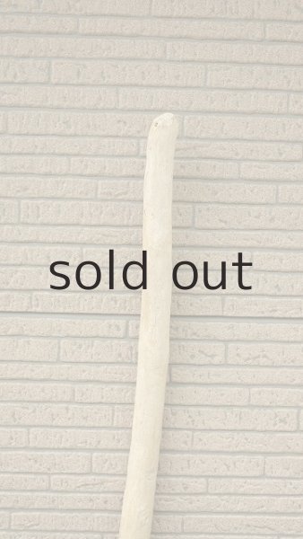 画像4: 棒流木 (4)