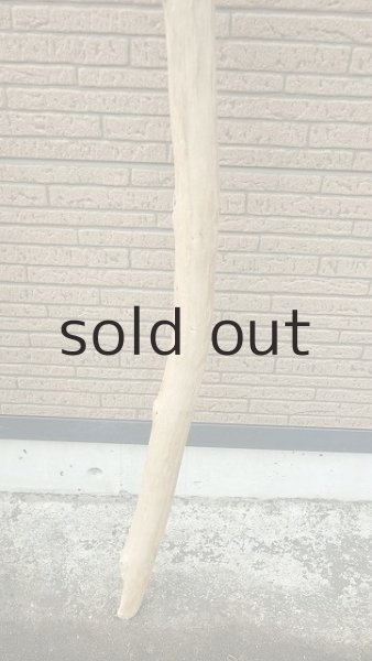 画像6: 棒流木・長尺 (6)