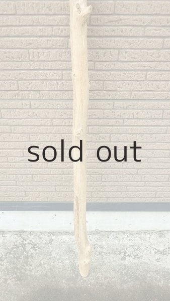 画像2: 棒流木 (2)