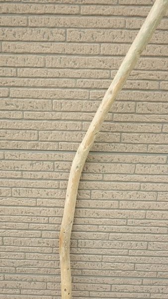 画像3: 棒流木 (3)