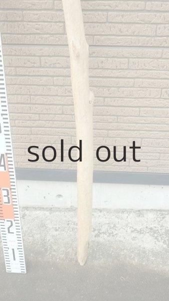 画像5: 棒流木 (5)