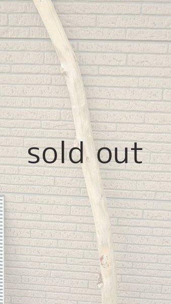 画像7: 棒流木・長尺 (7)