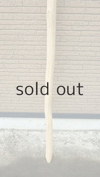 画像2: 棒流木・長尺 (2)