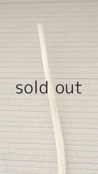 画像4: 棒流木・長尺 (4)