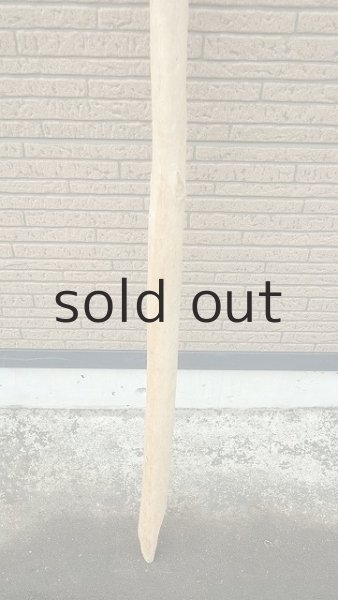 画像2: 棒流木 (2)