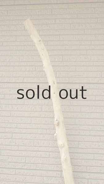 画像4: 棒流木・長尺 (4)