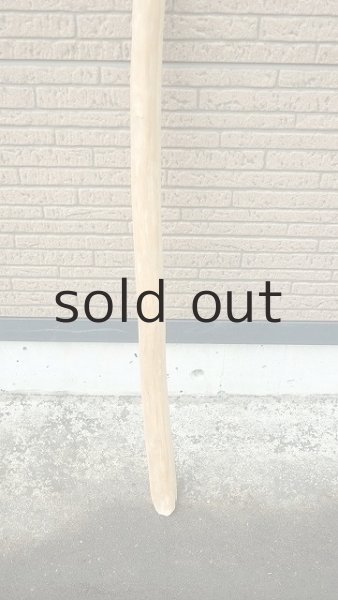 画像2: 棒流木 (2)