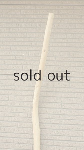 画像4: 棒流木・長尺 (4)