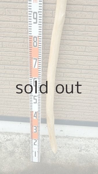 画像5: 棒流木・長尺 (5)