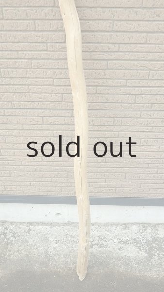 画像2: 棒流木・長尺 (2)