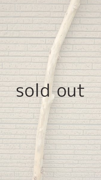 画像3: 棒流木・長尺 (3)