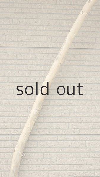 画像4: 棒流木・長尺 (4)