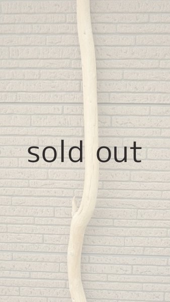 画像3: 棒流木・長尺 (3)