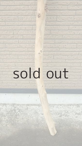 画像2: 棒流木・長尺 (2)