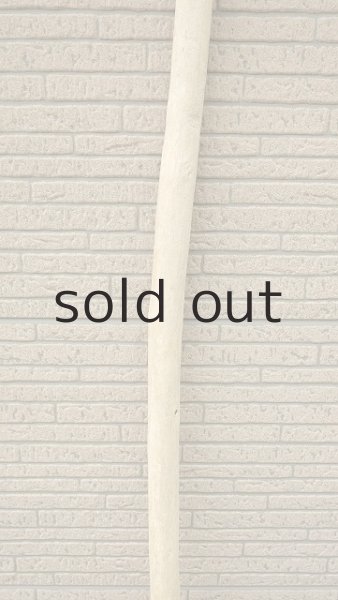 画像3: 棒流木 (3)