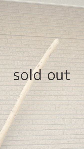 画像5: 棒流木・長尺 (5)