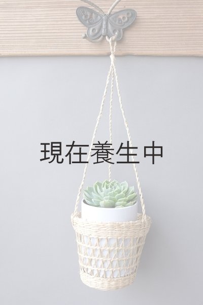 ハンキングスタイルで