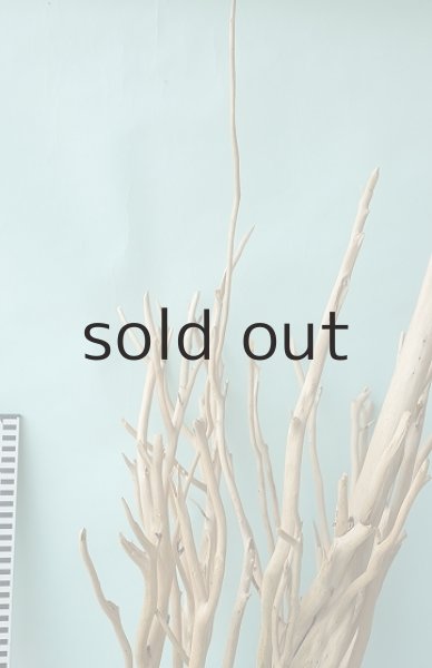 画像13: 幹流木 (13)