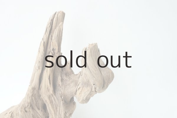 画像6: 変形流木 (6)