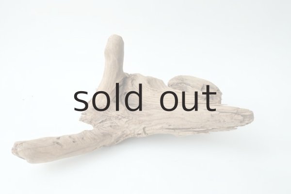 画像7: 変形流木 (7)