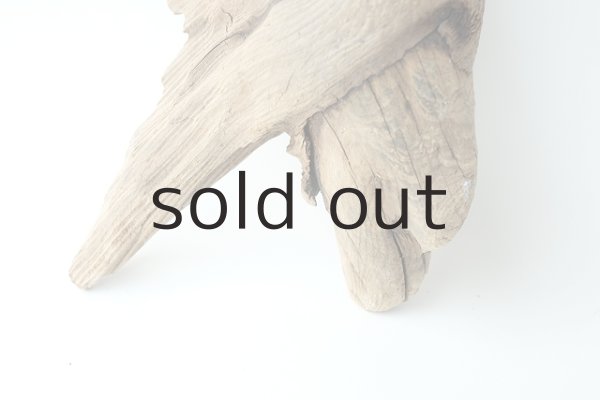 画像2: 変形流木 (2)