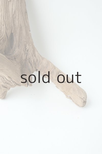 画像2: 変形流木 (2)