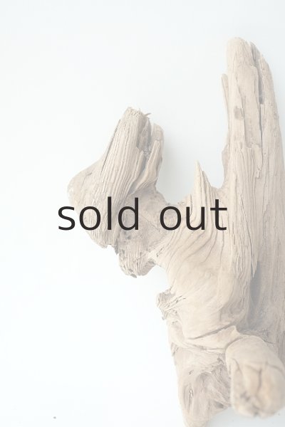 画像3: 変形流木 (3)