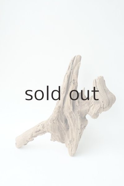 画像4: 変形流木 (4)