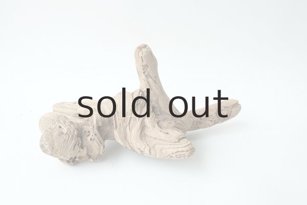 画像8: 変形流木 (8)