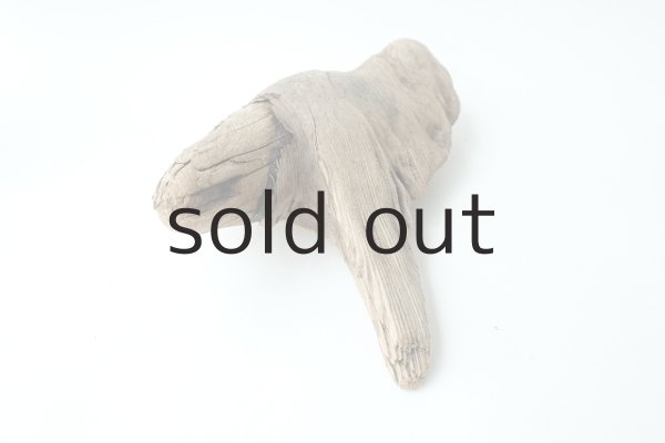 画像5: 変形流木 (5)