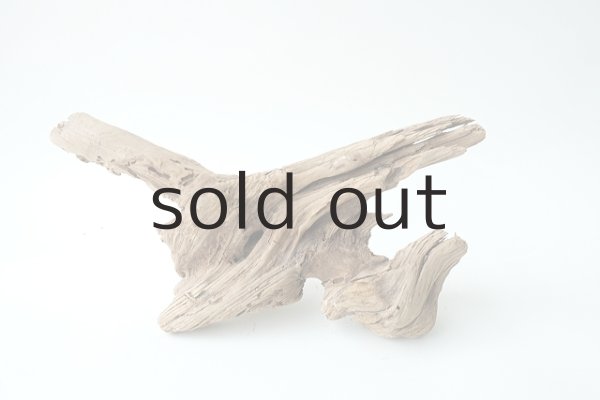 画像11: 変形流木 (11)