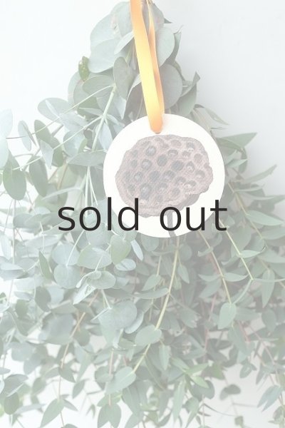 画像3: Dry plants for decor ユーカリ2種シンプルスワッグ (3)